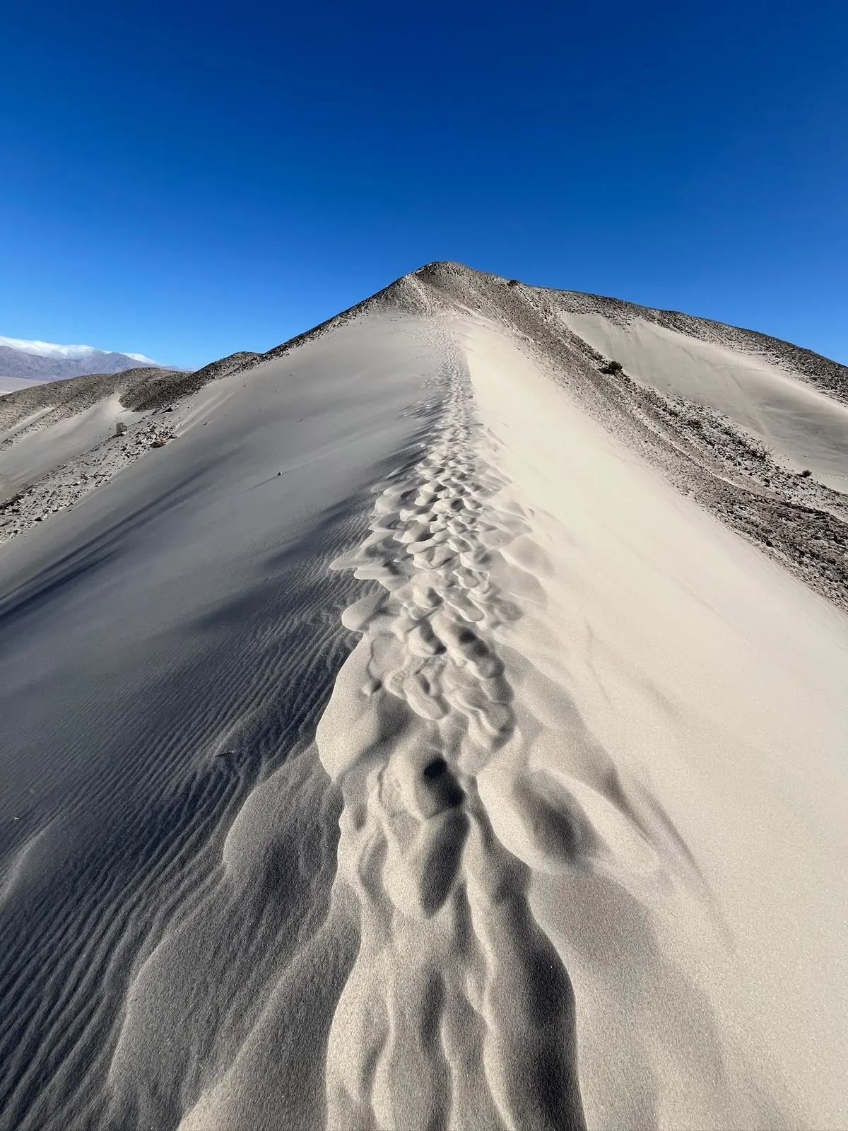 Cresta de una duna con una hilera de huellas bajo un cielo azul
