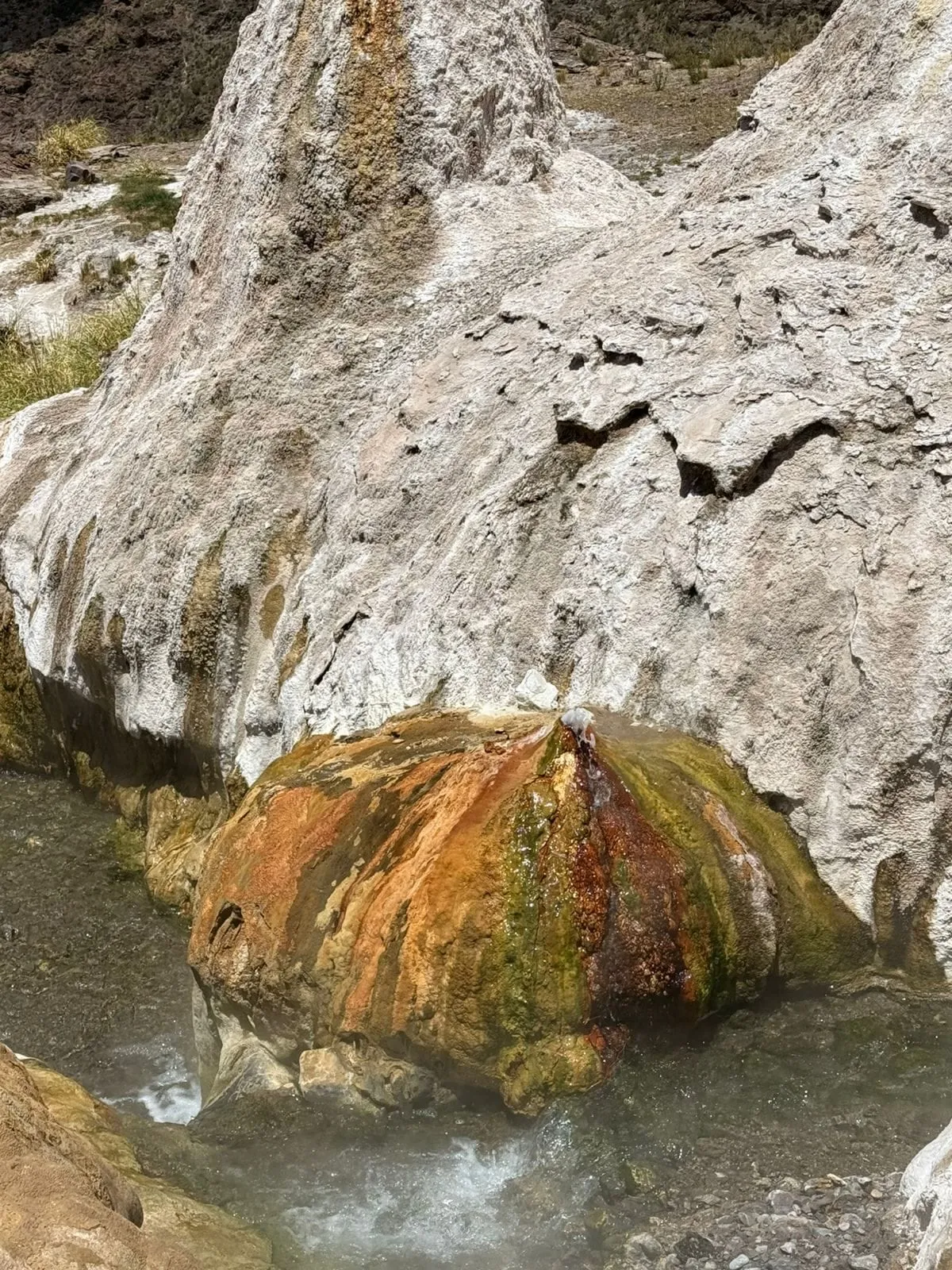 Agua termal que corre entre rocas blancas con musgo naranja y verde